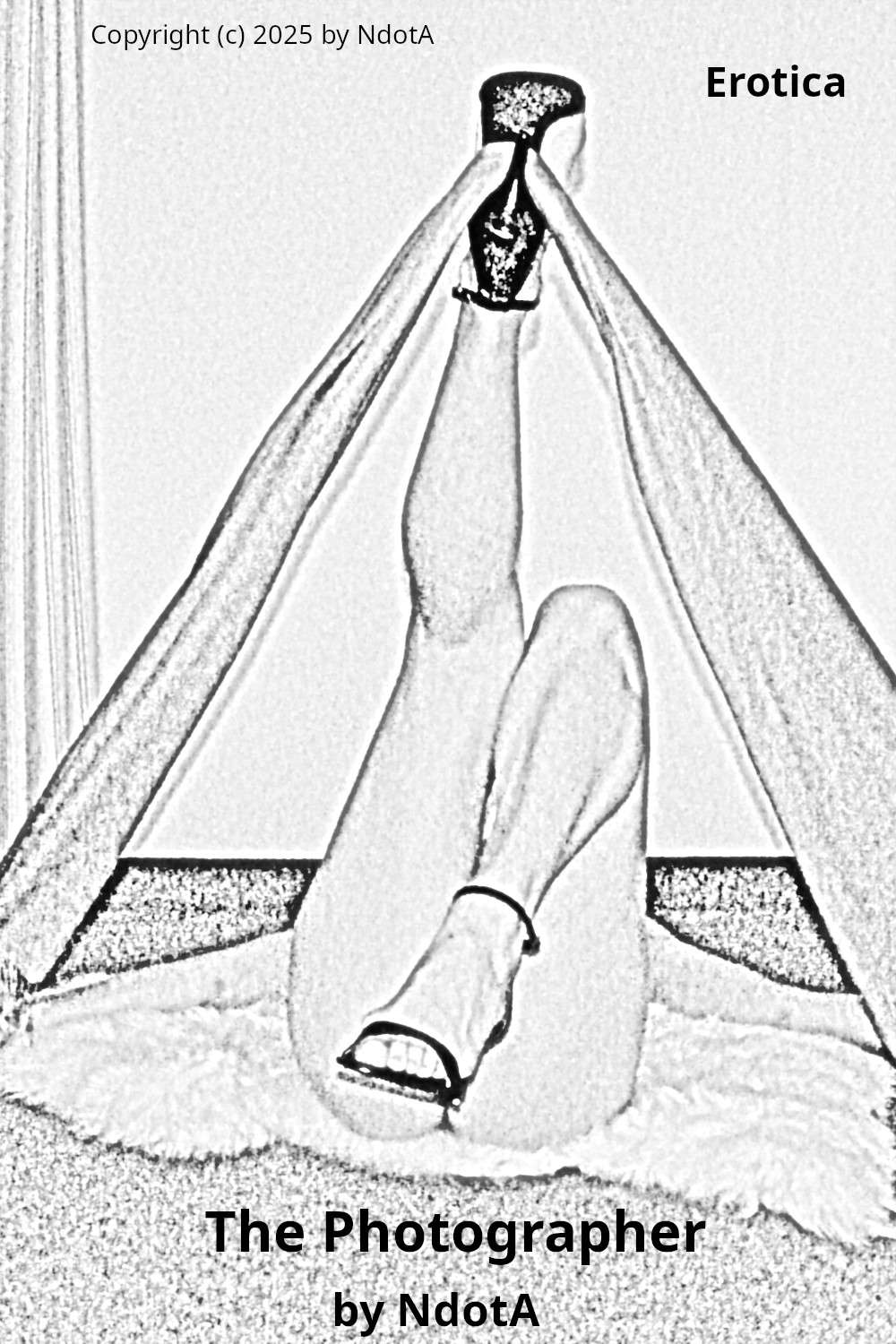 The Photographer - Cover