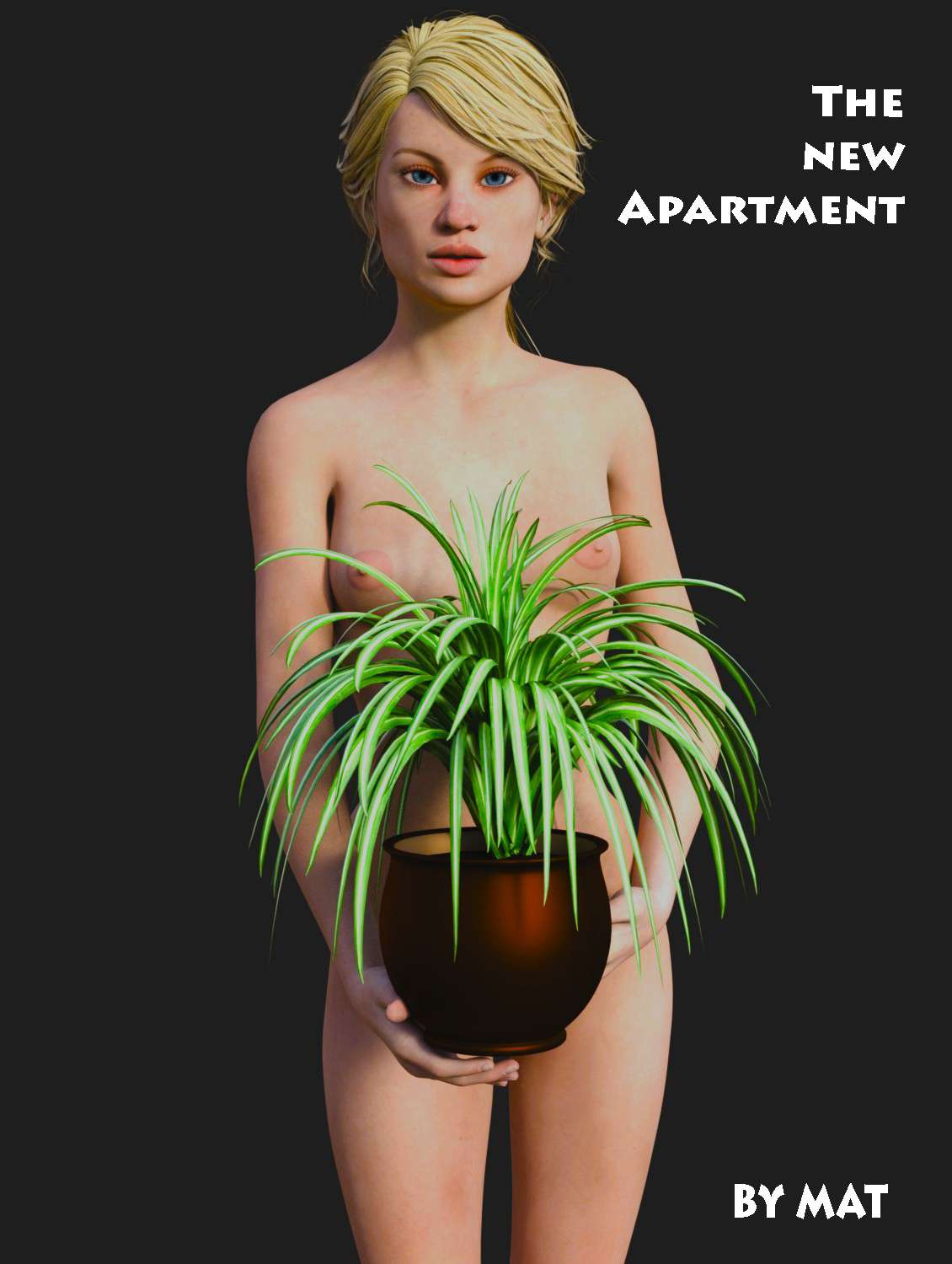 The New Apartment - Cover