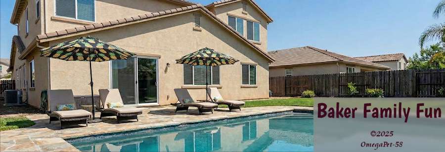 Baker Family Fun - Cover