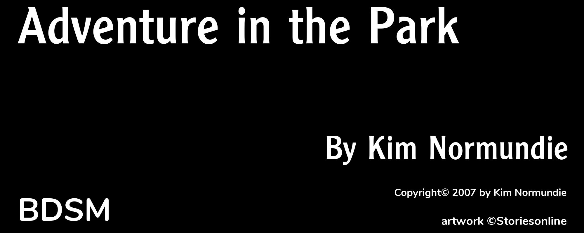 Adventure in the Park - Cover