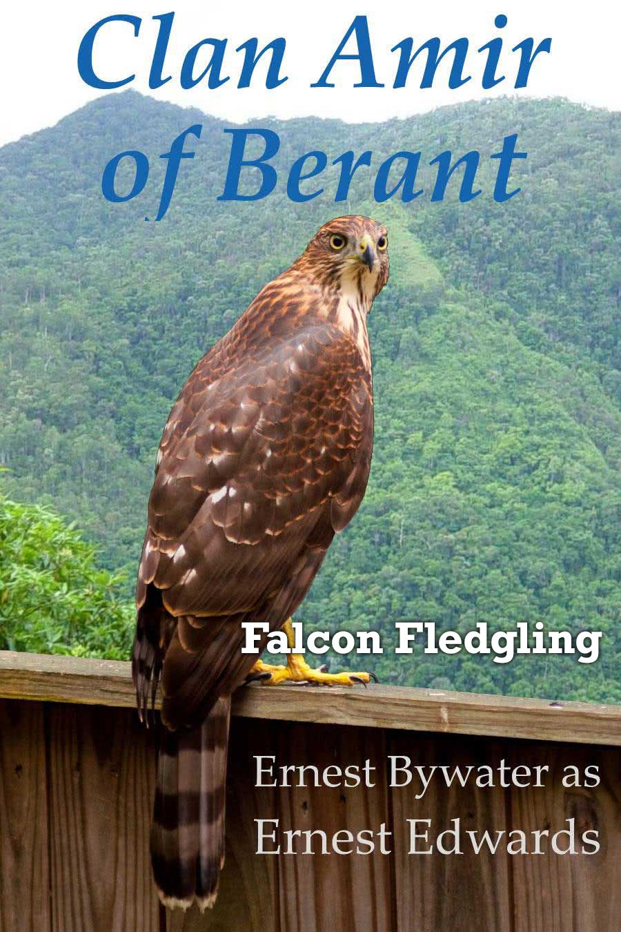 3 - Clan Amir: Falcon Fledgling - Cover