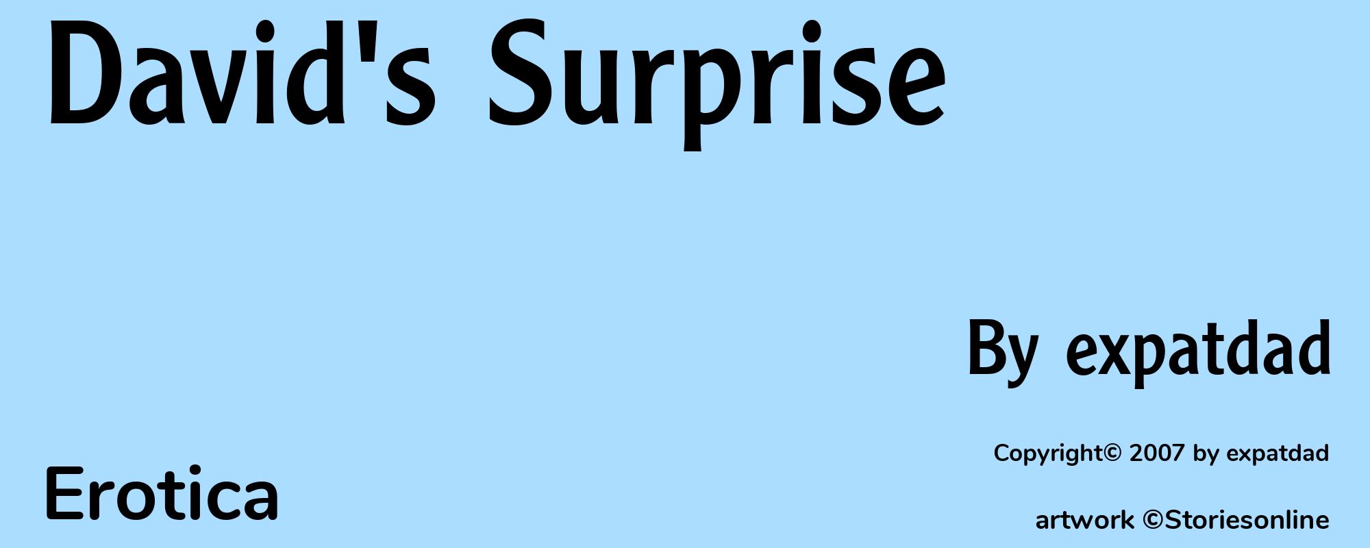 David's Surprise - Cover