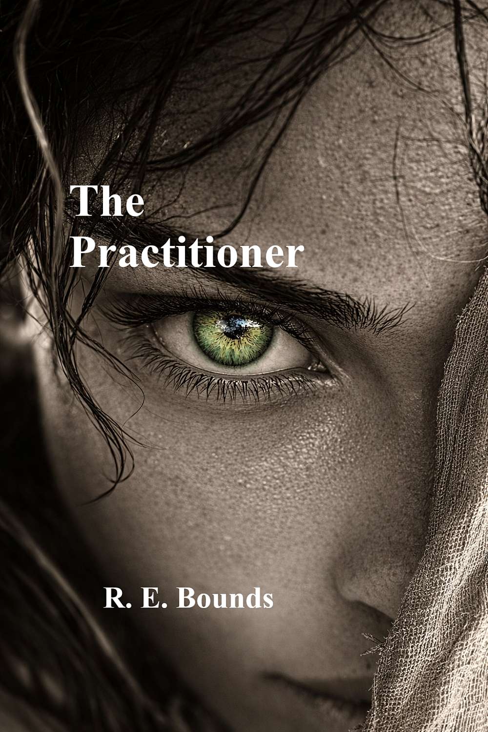 The Practitioner - Cover