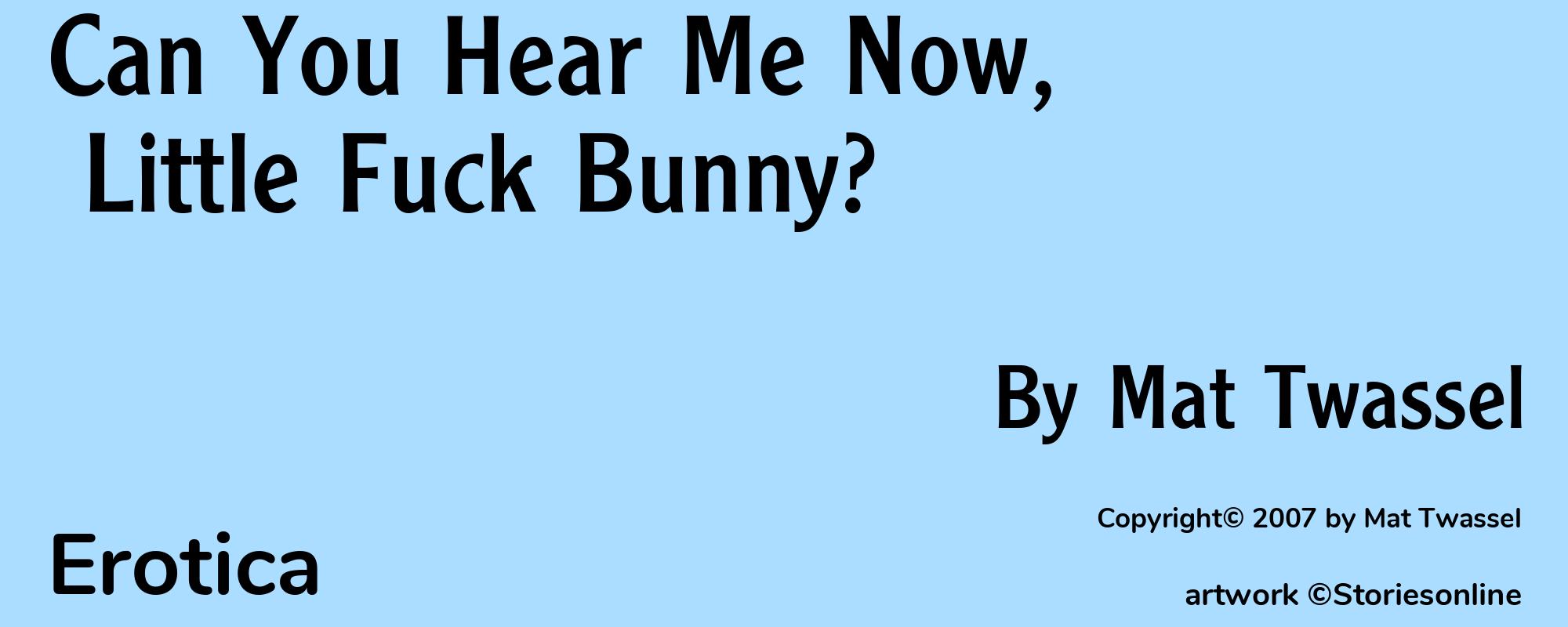 Can You Hear Me Now, Little Fuck Bunny? - Cover
