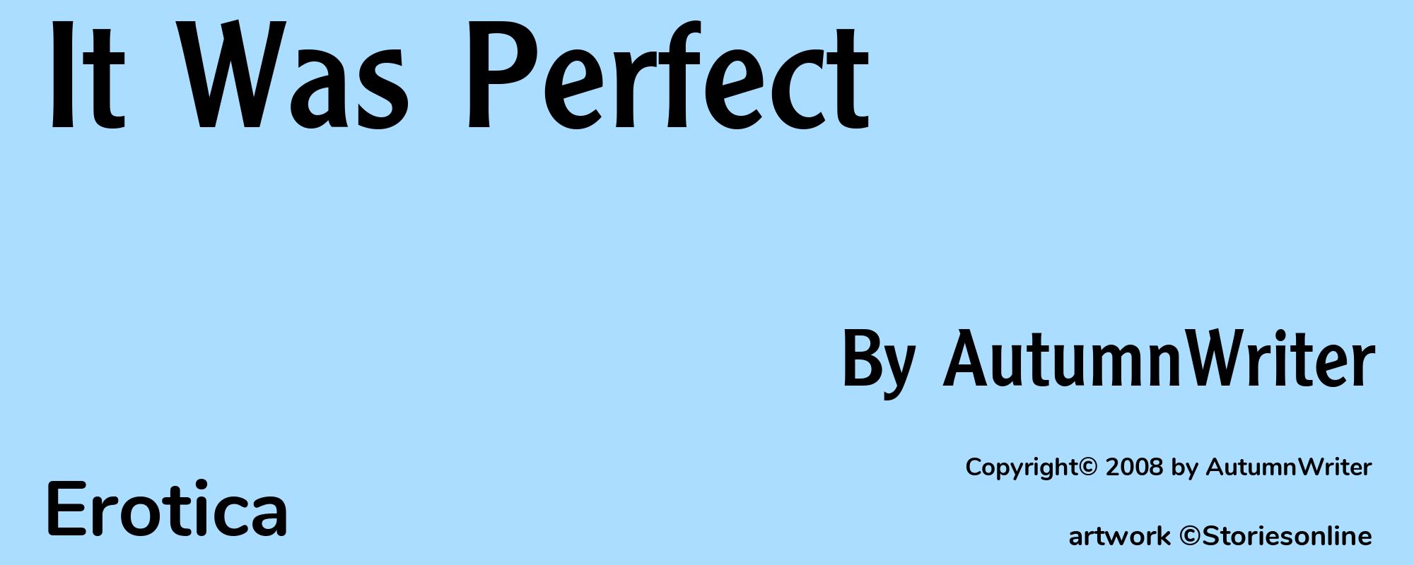 It Was Perfect - Cover