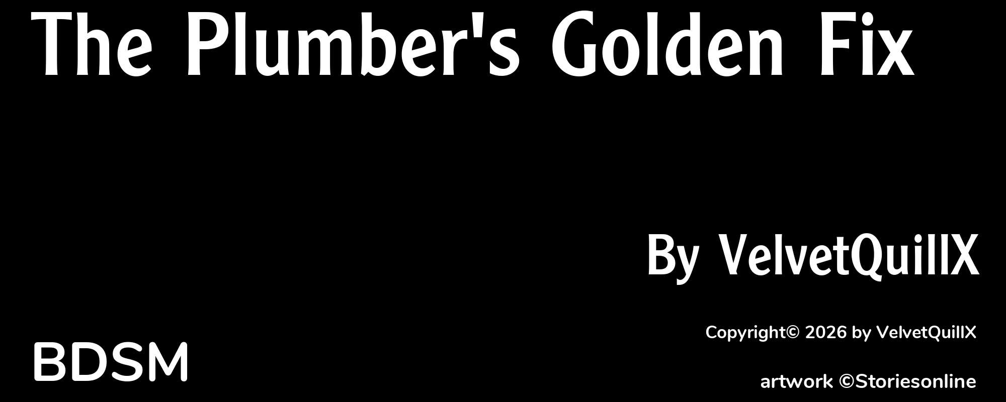 The Plumber's Golden Fix - Cover