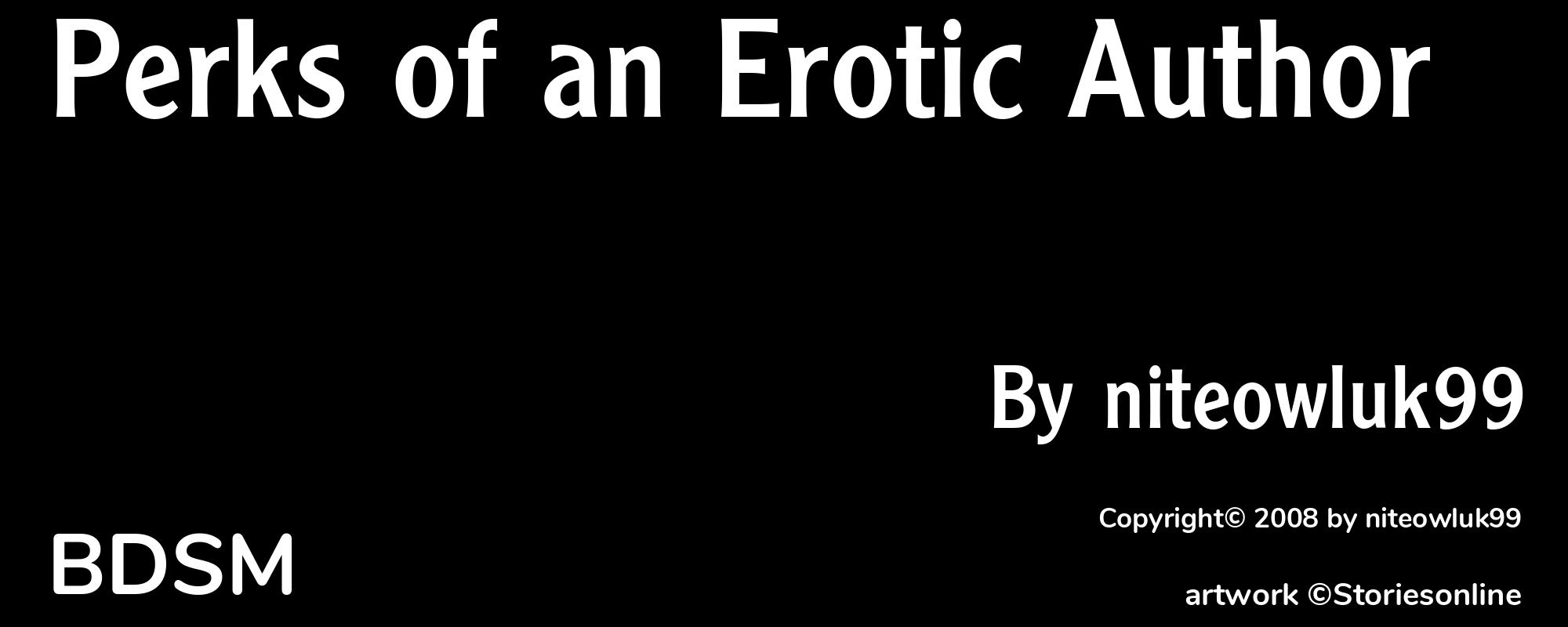 Perks of an Erotic Author - Cover