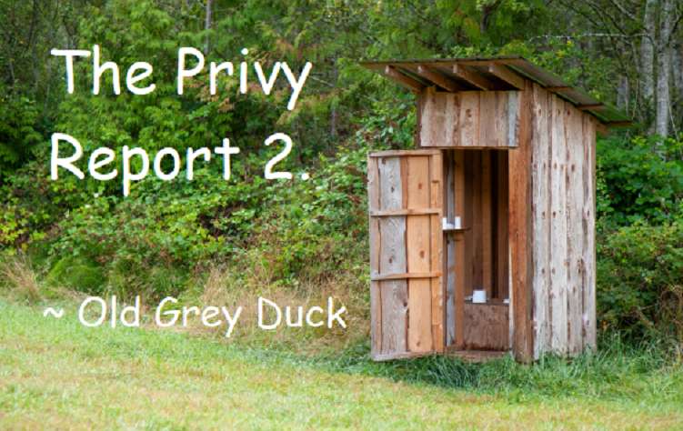 The Privy Report 2 - Cover