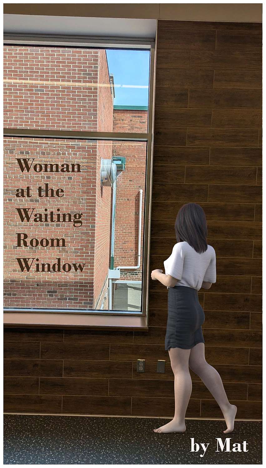 Woman at the Waiting Room Window - Cover