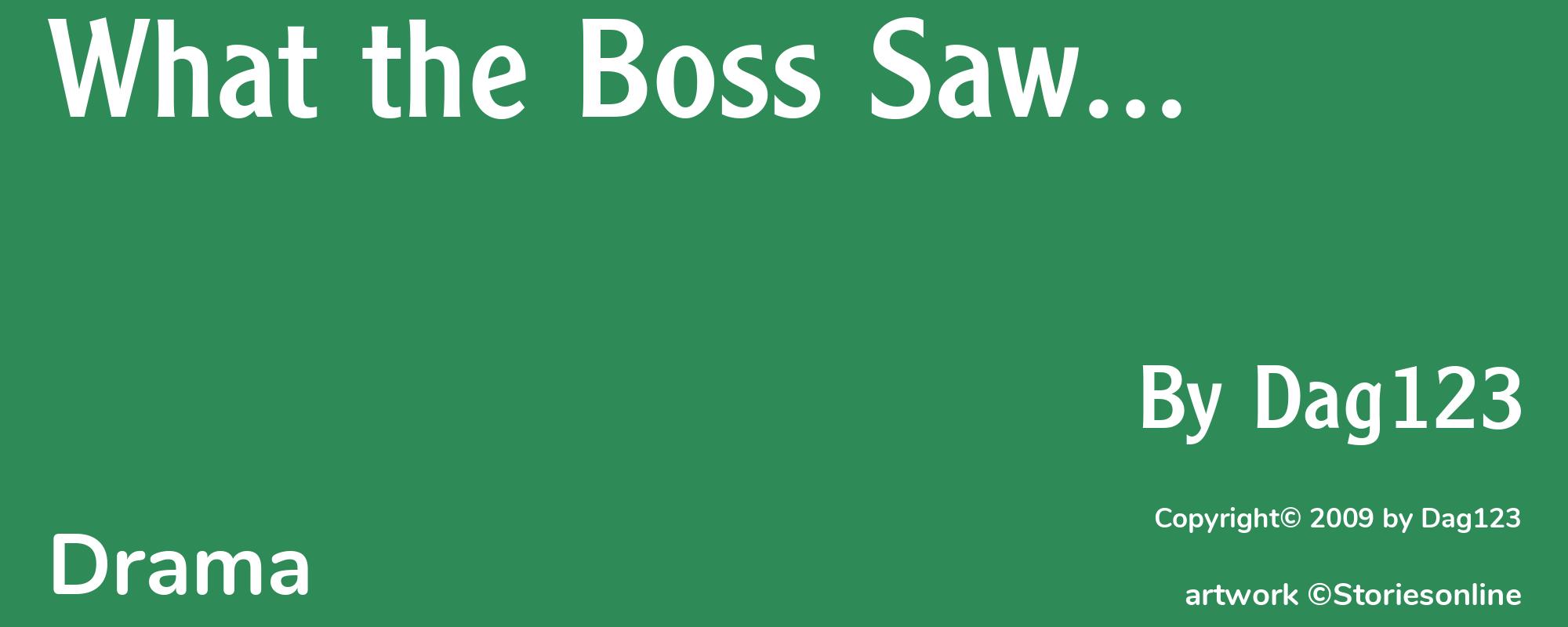 What the Boss Saw... - Cover