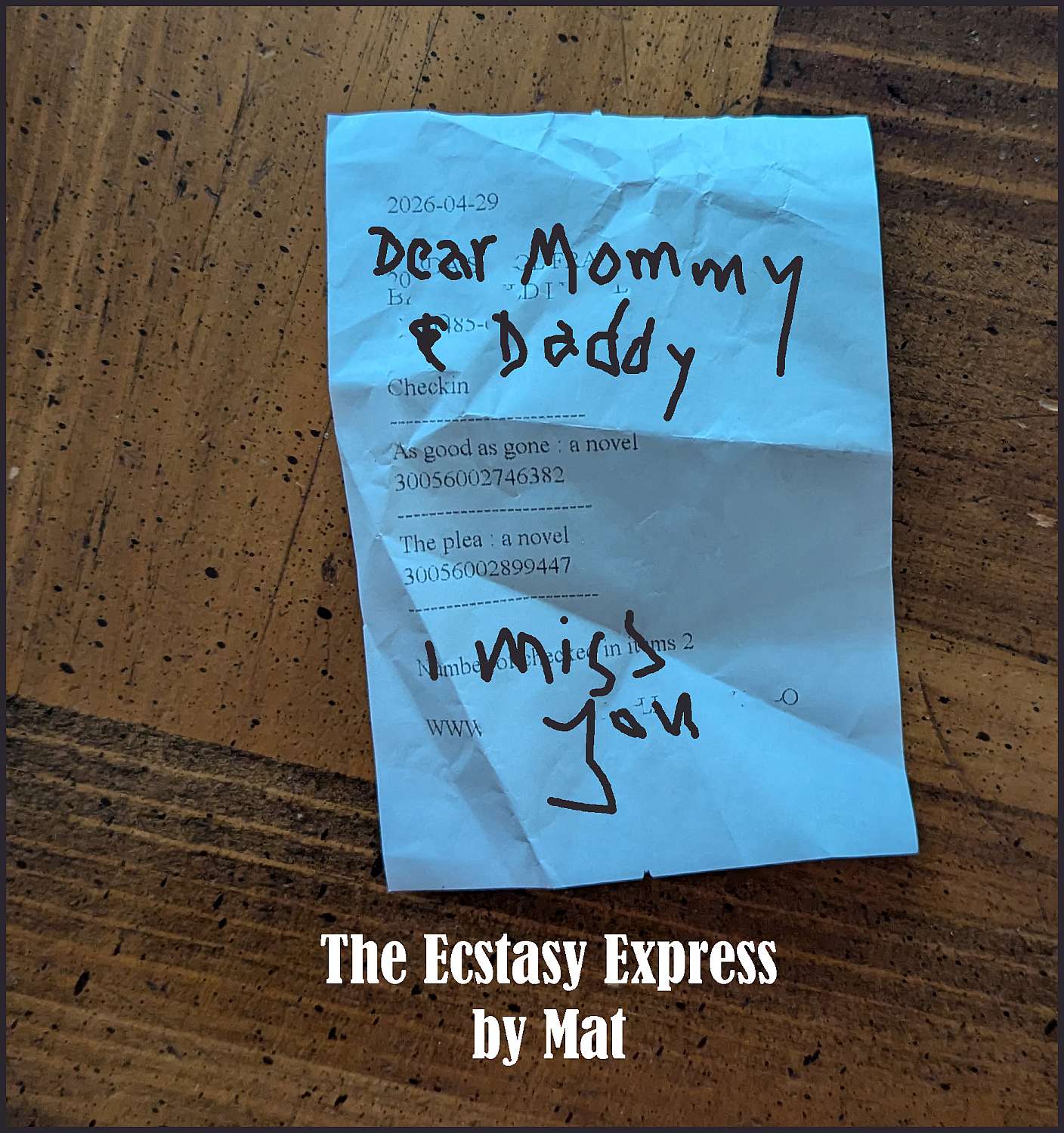 The Ecstasy Express - Cover