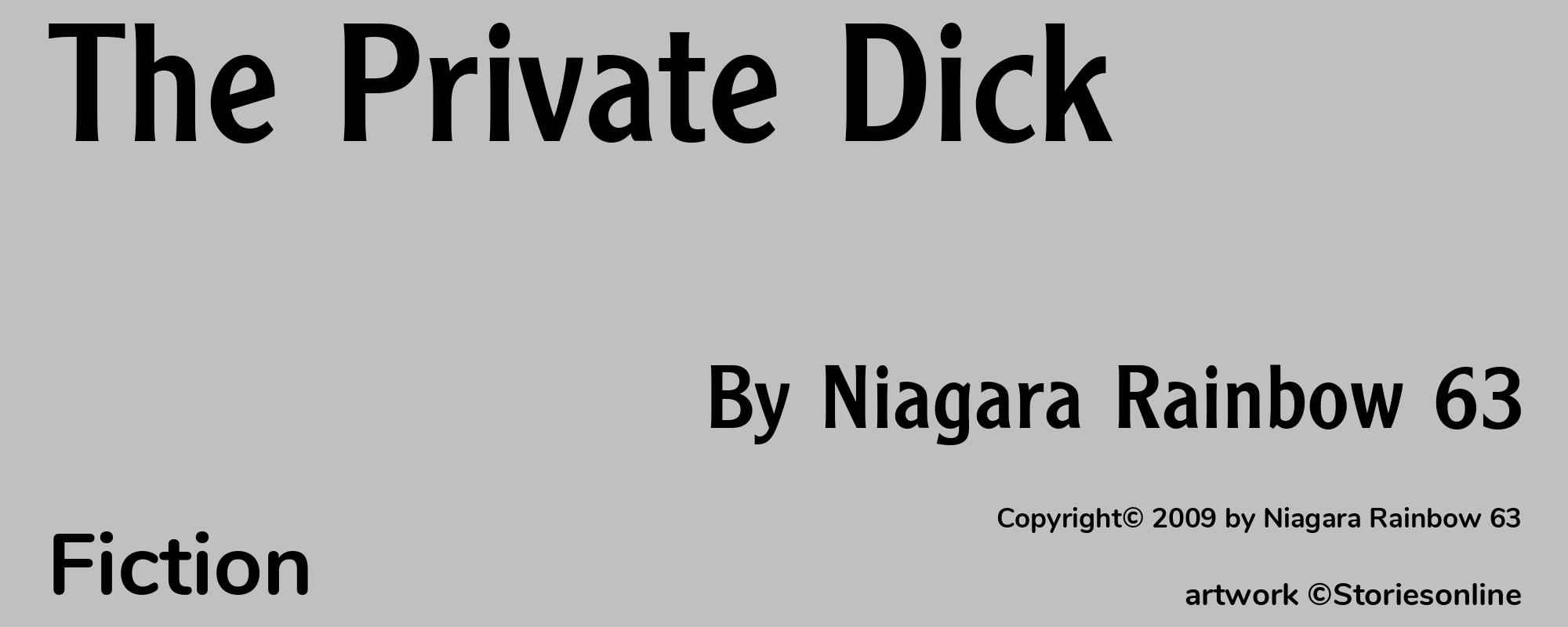 The Private Dick - Cover