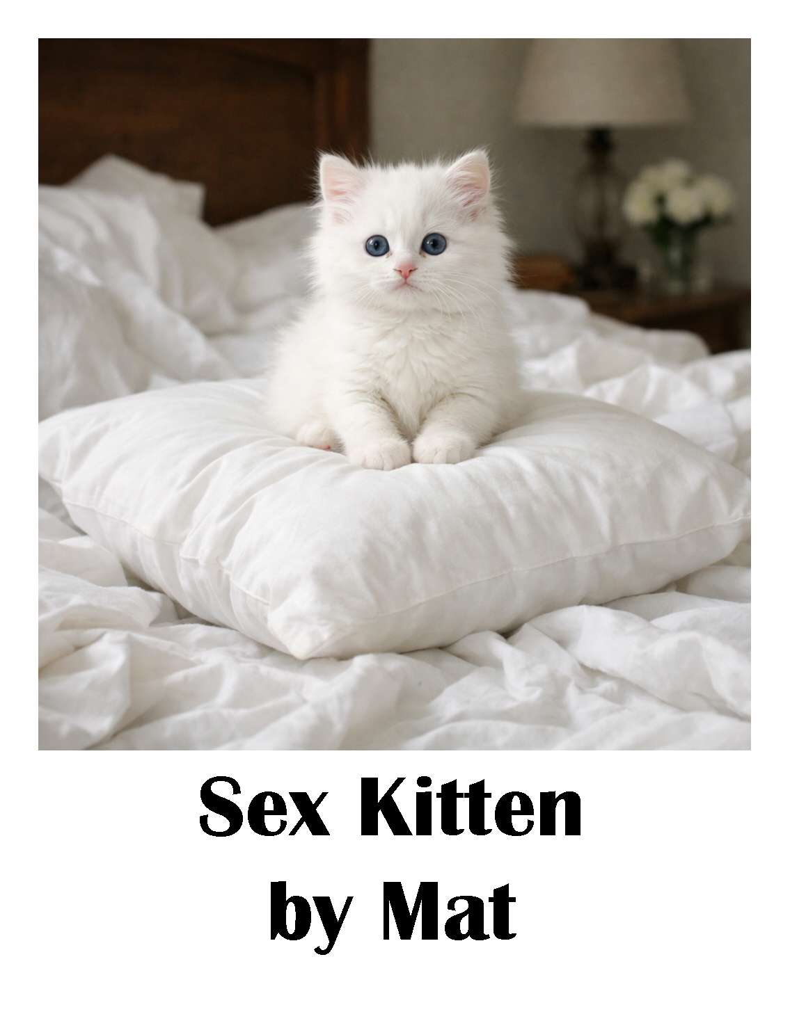 Sex Kitten - Cover