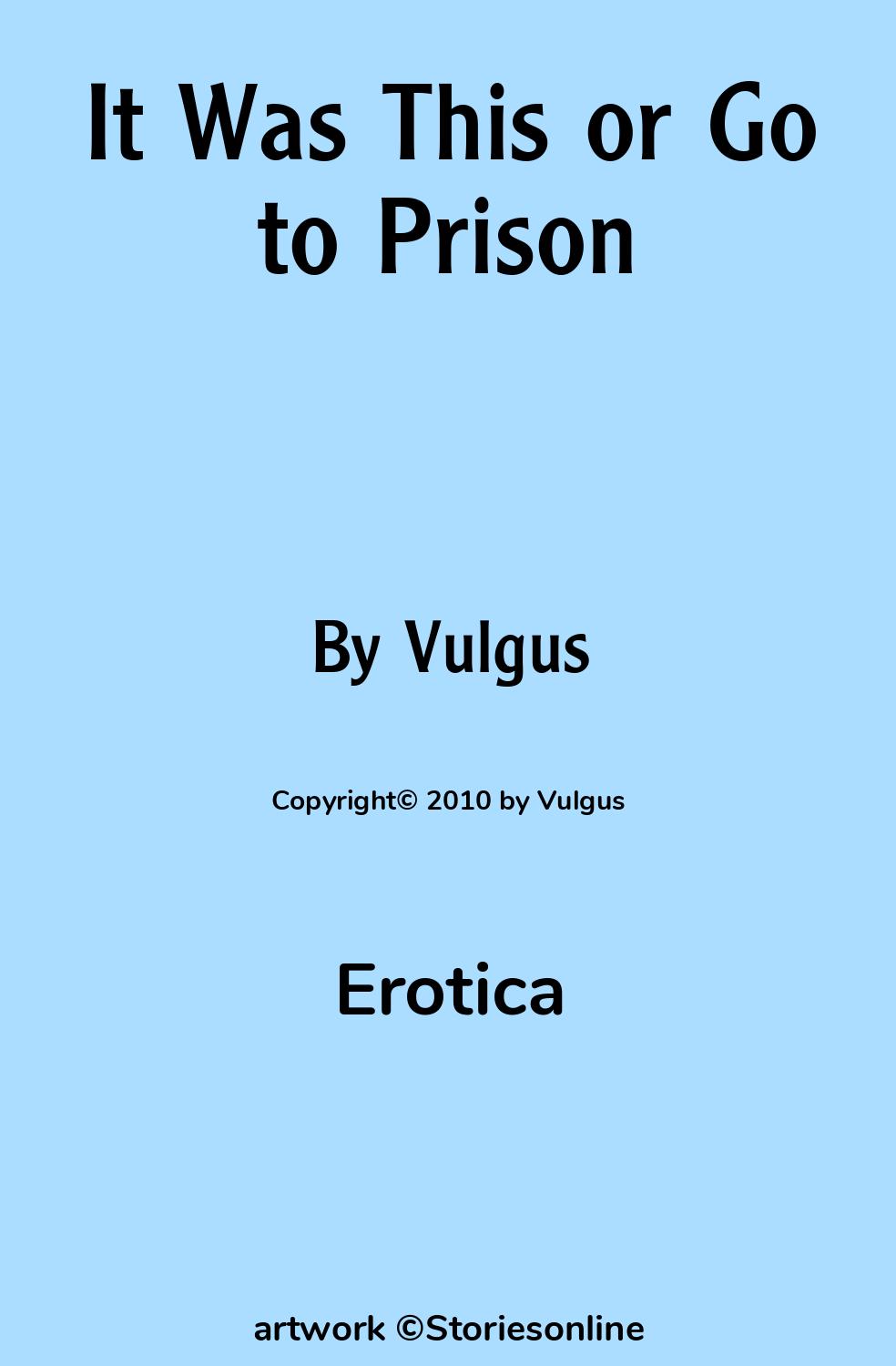 Erotica Sex Story: It Was This or Go to Prison: Chapter 1 by Vulgus