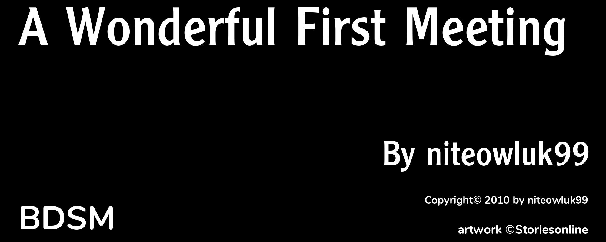 A Wonderful First Meeting - Cover