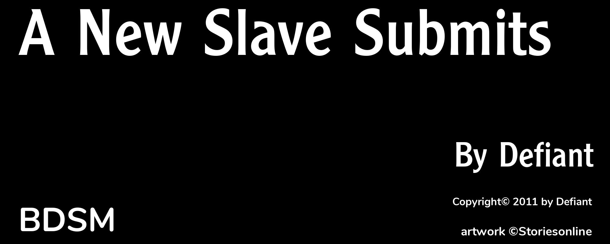 A New Slave Submits - Cover