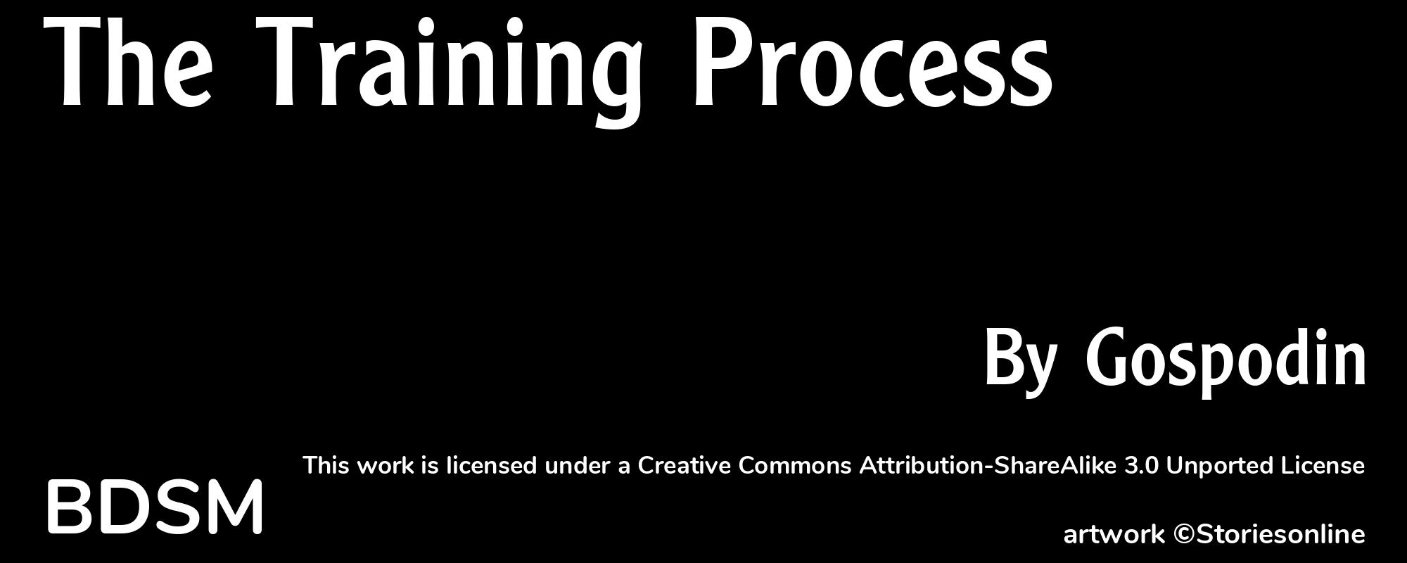 The Training Process - Cover