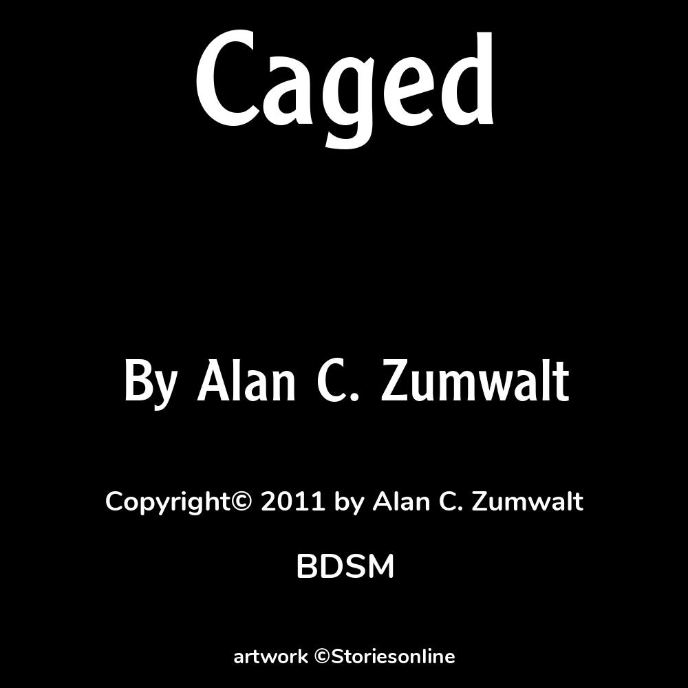 Caged - BDSM Sex Story