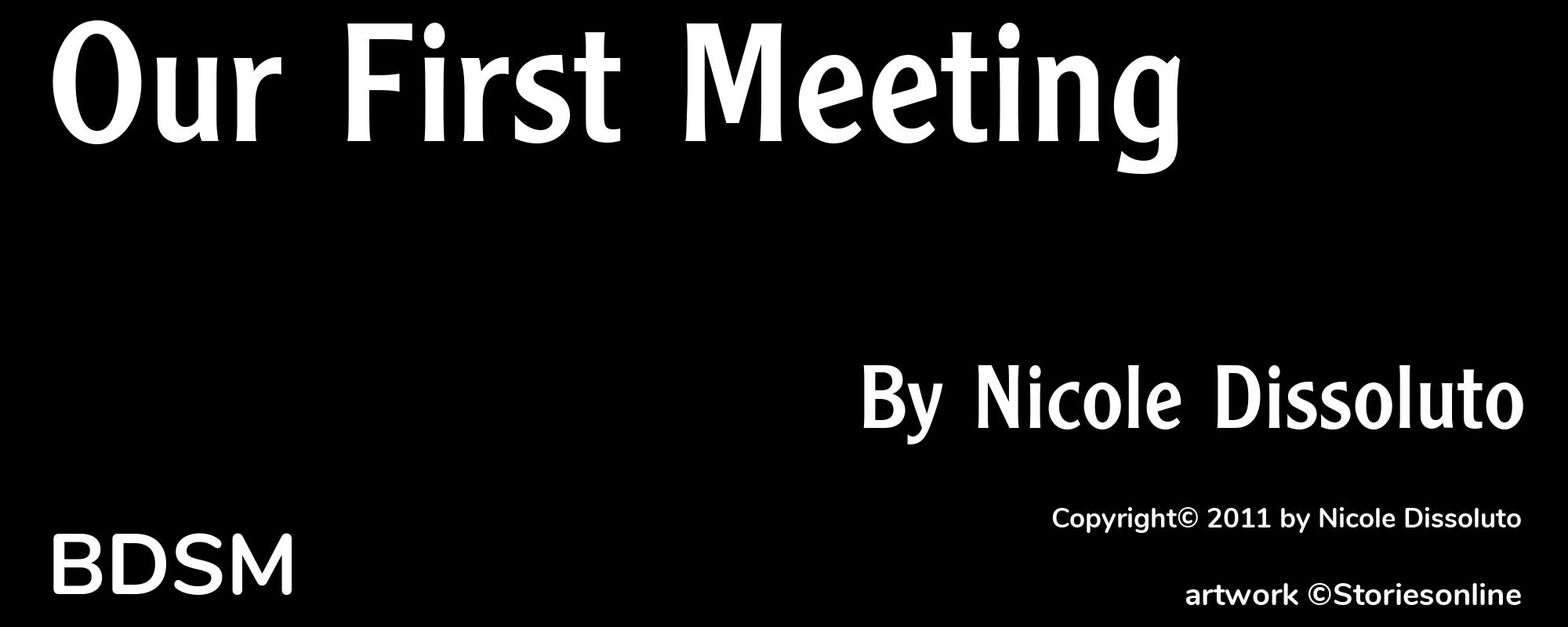 Our First Meeting - Cover