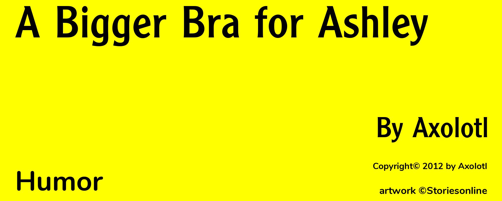 A Bigger Bra for Ashley - Cover