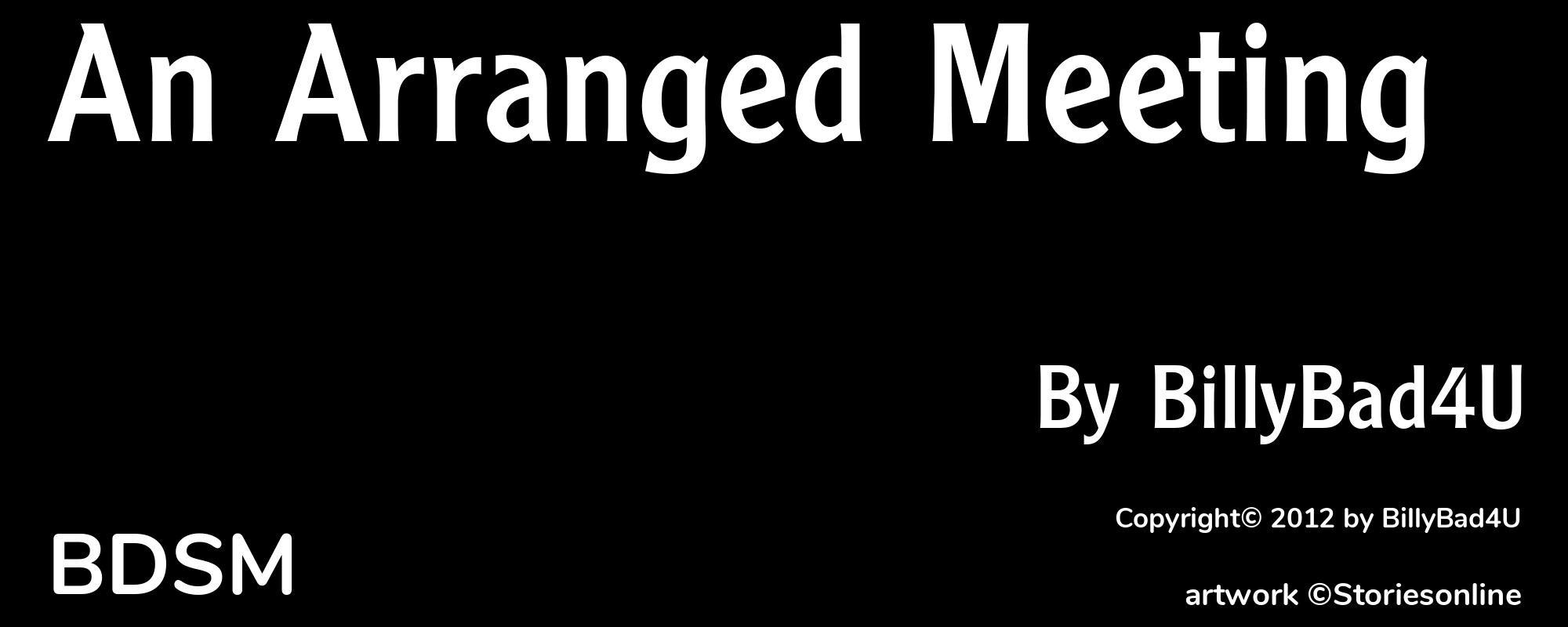 An Arranged Meeting - Cover