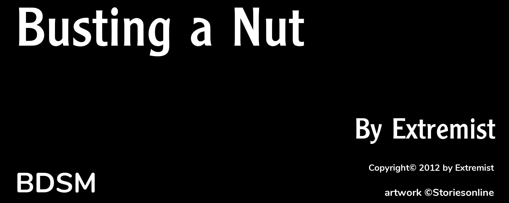 Busting a Nut - Cover