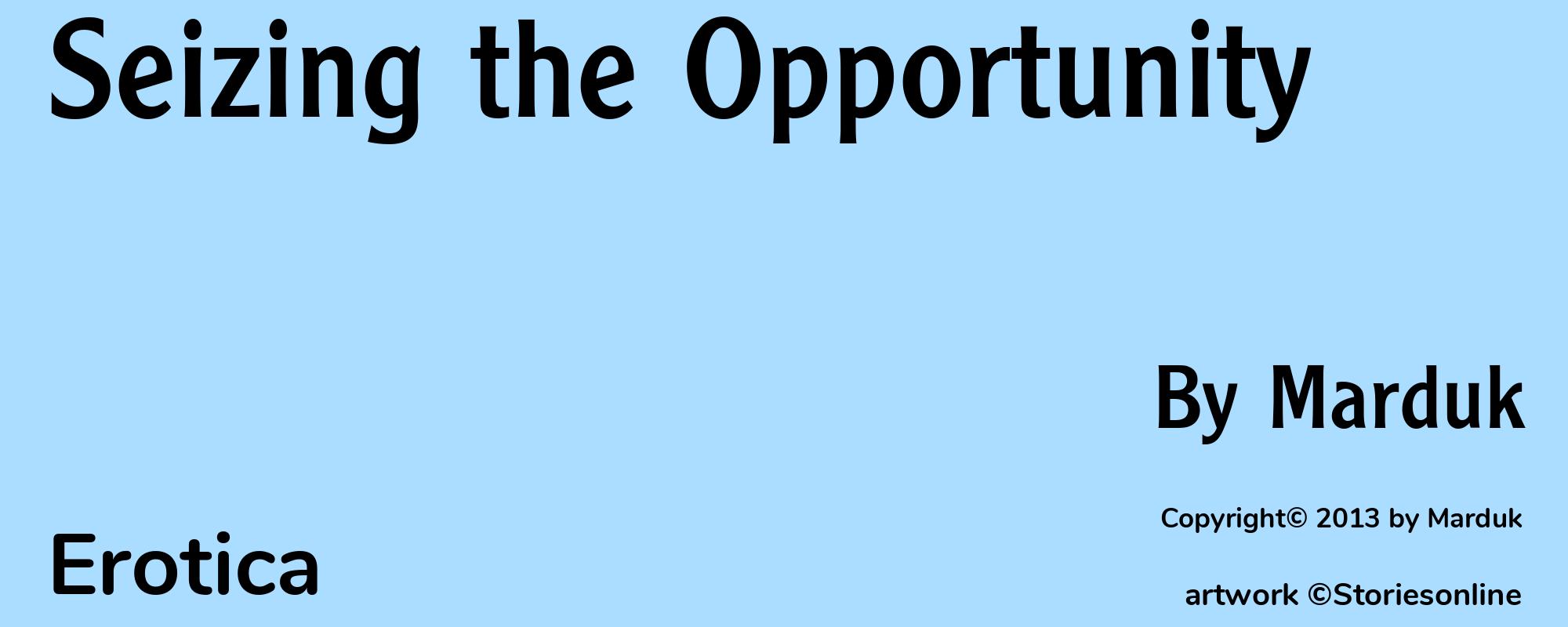 Seizing the Opportunity - Cover